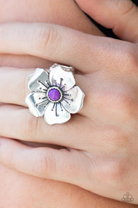 Paparazzi " Boho Blossom " Silver Metal Bright Purple Stone Flower Elastic Back Ring