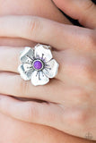 Paparazzi " Boho Blossom " Silver Metal Bright Purple Stone Flower Elastic Back Ring