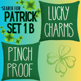 18X18 Set of 2 St. Patrick's Day Throw Pillow Covers (*No Inserts) PATRICK SETS 1A or 1B