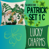 18X18 Set of 2 St. Patrick's Day Throw Pillow Covers (*No Inserts) PATRICK SETS 1C 1D